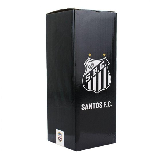 Garrafa Plástico Com Canudo 650ml - Santos